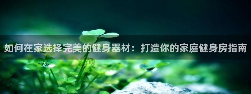 尊龙人生就是博现金：如何在家选择完美的健身器材：打造