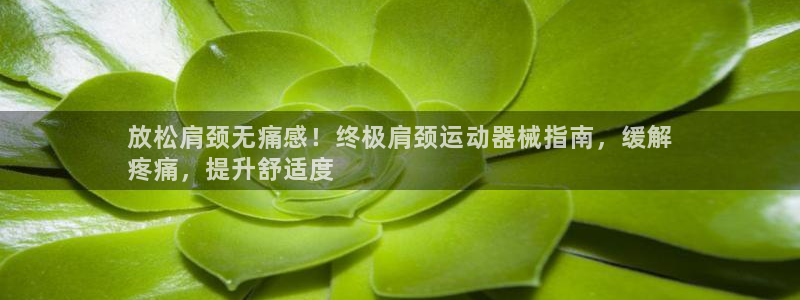 尊龙官网免费下载安卓：放松肩颈无痛感！终极肩颈运动器