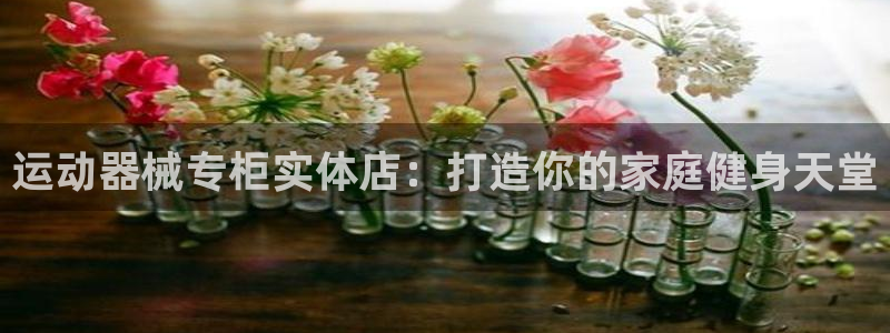 尊龙手机客户端app：运动器械专柜实体店：打造你的家
