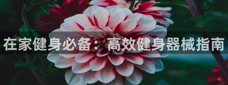 凯时k8官网首页：在家健身必备：高效健身器械指南
