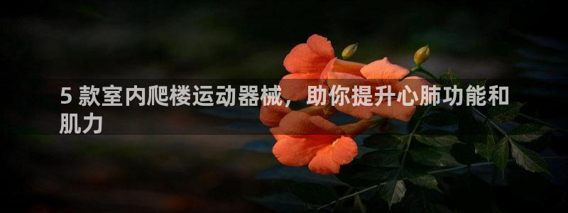 尊龙凯时几百万怎么下：5 款室内爬楼运动器械，助你提