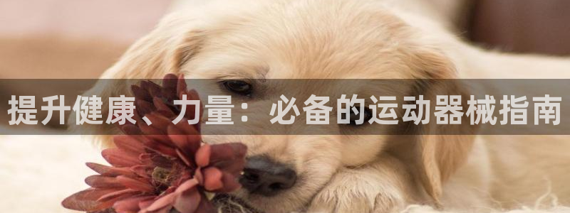 尊龙凯时不给提款：提升健康、力量：必备的运动器械指南