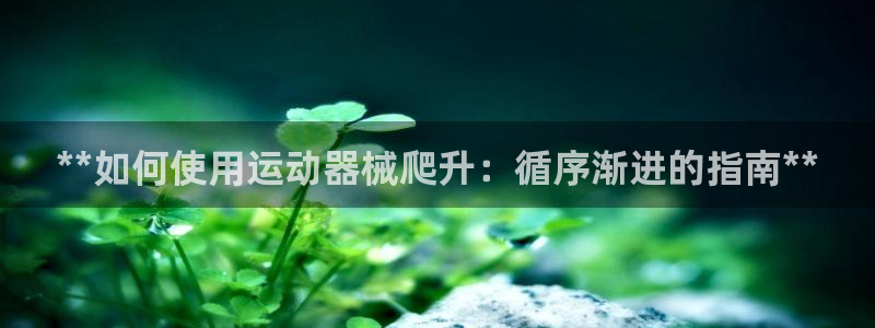 尊龙ag旗舰厅下载：**如何使用运动器械爬升：循序渐