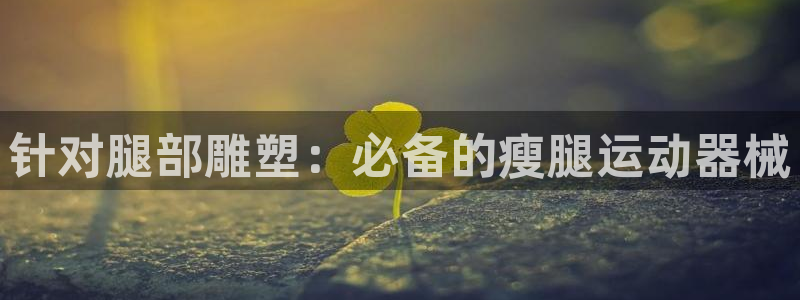 凯时a88：针对腿部雕塑：必备的瘦腿运动器械