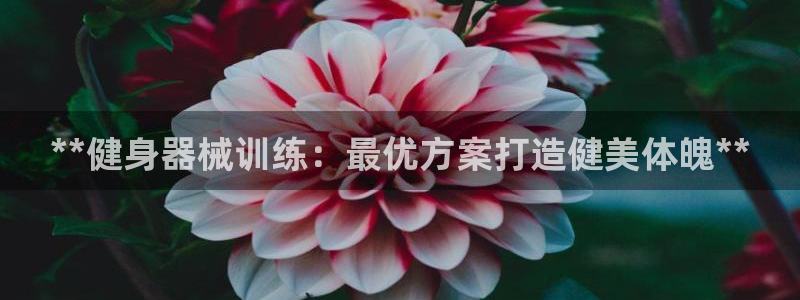 尊龙凯时几百万怎么下：**健身器械训练：最优方案打造