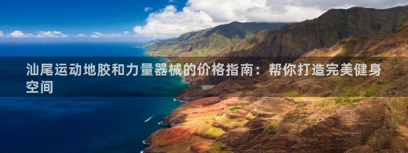 尊龙多少岁：汕尾运动地胶和力量器械的价格指南：帮你打