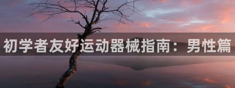 尊龙凯时人生就博：初学者友好运动器械指南：男性篇