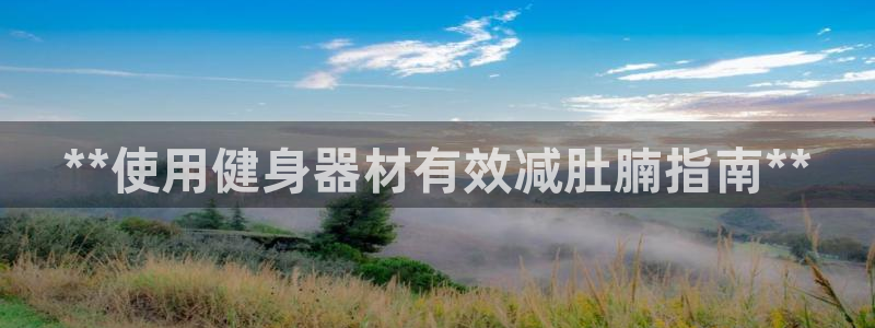 尊龙凯时登陆网址：**使用健身器材有效减肚腩指南**