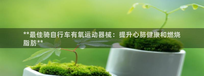 尊龙凯时企业文化：**最佳骑自行车有氧运动器械：提升