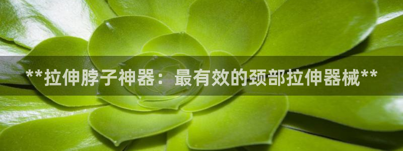 凯时国际app登录：**拉伸脖子神器：最有效的颈部拉