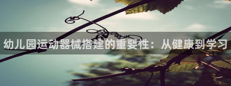 凯时k66娱乐登录：幼儿园运动器械搭建的重要性：从健