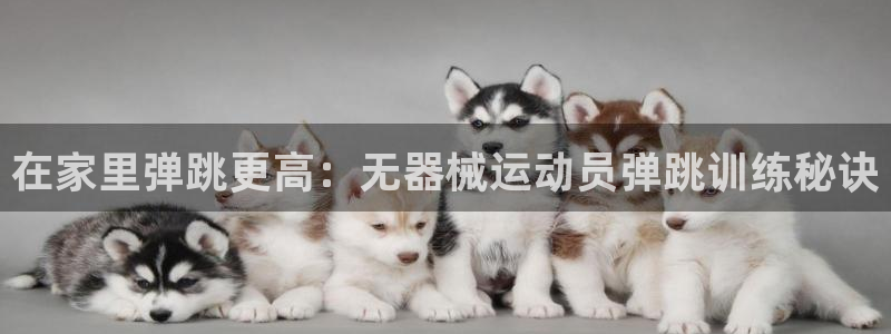 尊龙人生就是-首页(中国)有限公司：在家里弹跳更高：