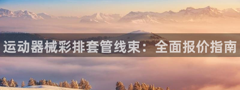 尊龙集团：运动器械彩排套管线束：全面报价指南
