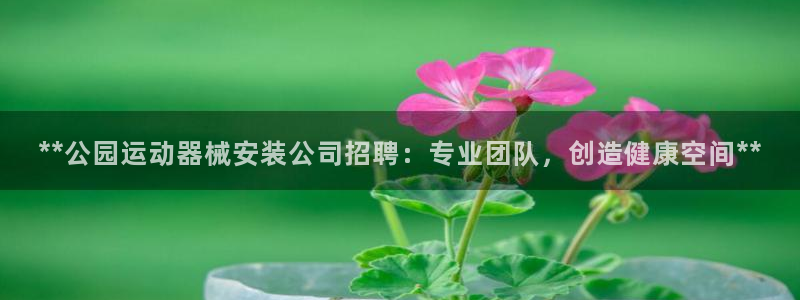 尊龙ag旗舰厅登录 租车app下载：**公园运动器械