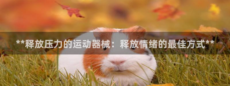 尊龙凯时台子：**释放压力的运动器械：释放情绪的最佳方式**