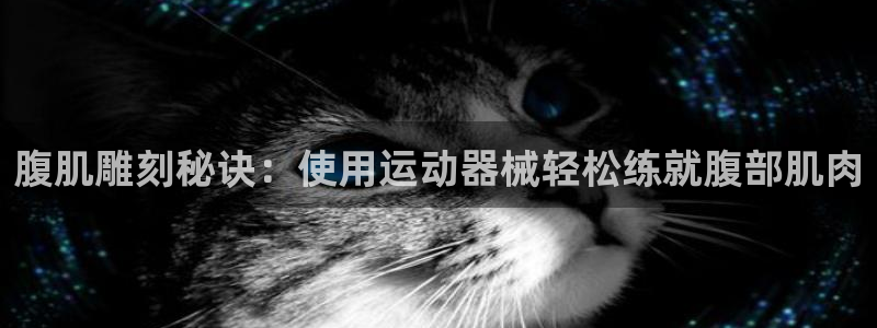 z6尊龙官方网站：腹肌雕刻秘诀：使用运动器械轻松练就