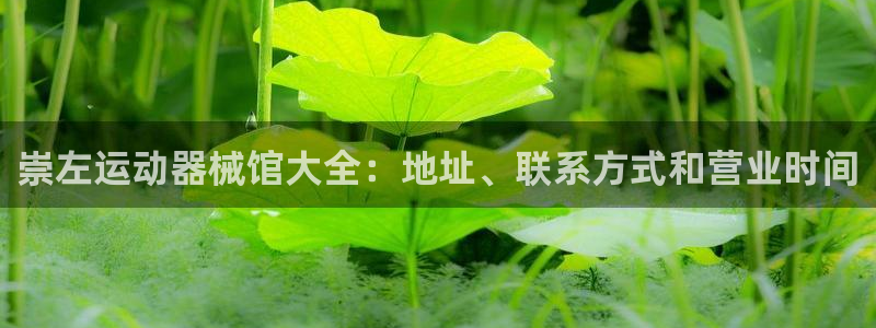 凯时kb88会员登录：崇左运动器械馆大全：地址、联系