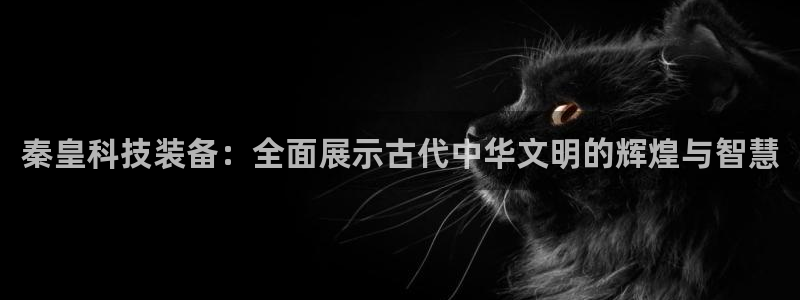 尊龙王t400