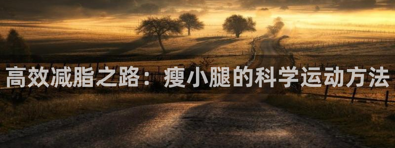 尊龙人生就是博D88