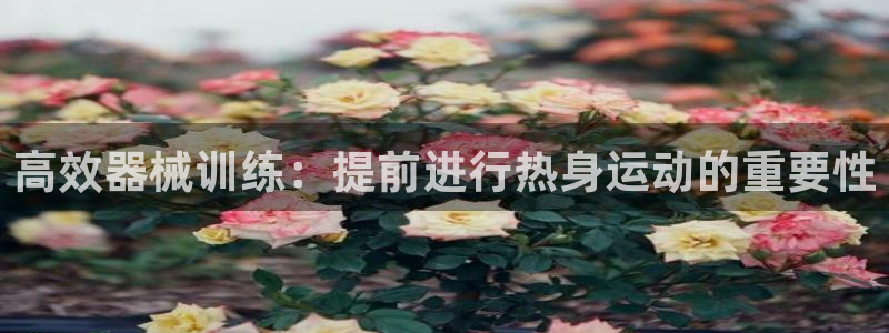 凯时ag旗舰厅网址是什么