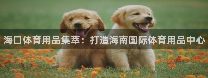 尊龙凯时正规吗