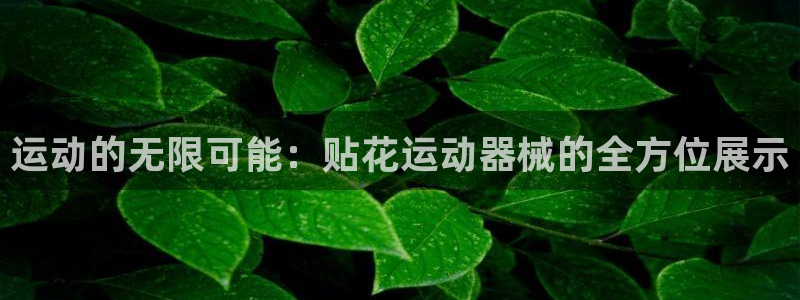 尊龙t400和尊龙t300区别