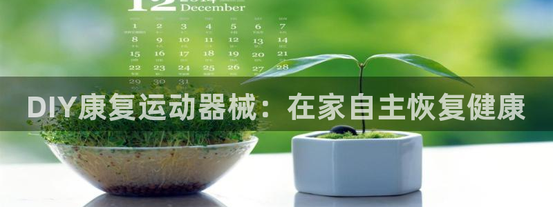 尊龙d88平台登录：DIY康复运动器械：在家自主恢复