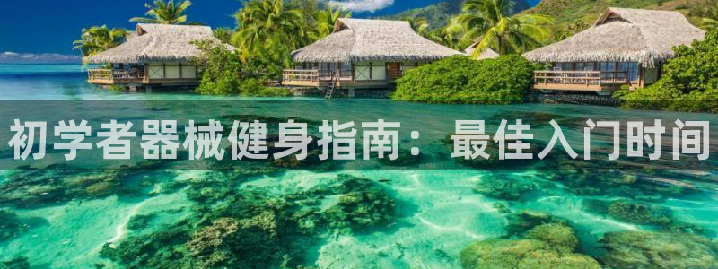 尊龙D88现金旧版：初学者器械健身指南：最佳入门时间
