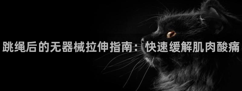 尊龙贴吧：跳绳后的无器械拉伸指南：快速缓解肌肉酸痛