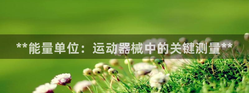 尊龙凯时人生就是搏平台：**能量单位：运动器械中的关键测量*