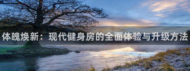 尊龙-人生就是博!：体魄焕新：现代健身房的全面体验与