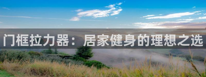 尊龙人生就是博AG旗舰厅：门框拉力器：居家健身的理想之选