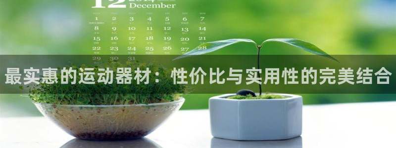 尊龙人生就是一博!：最实惠的运动器材：性价比与实用性