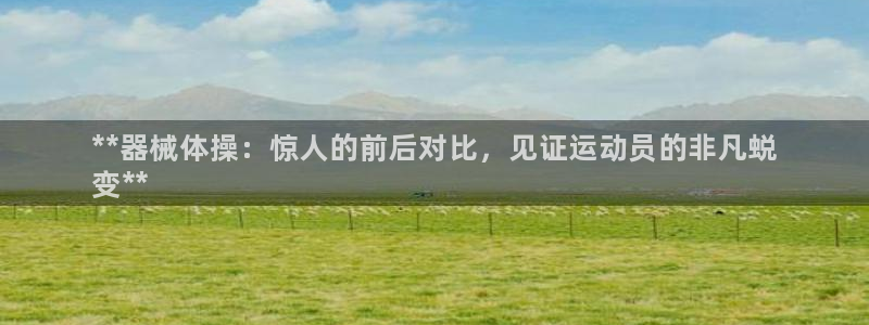 尊龙app登录不了