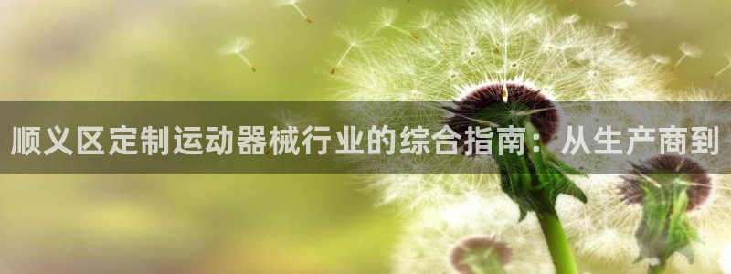 尊龙集团官网：顺义区定制运动器械行业的综合指南：从生