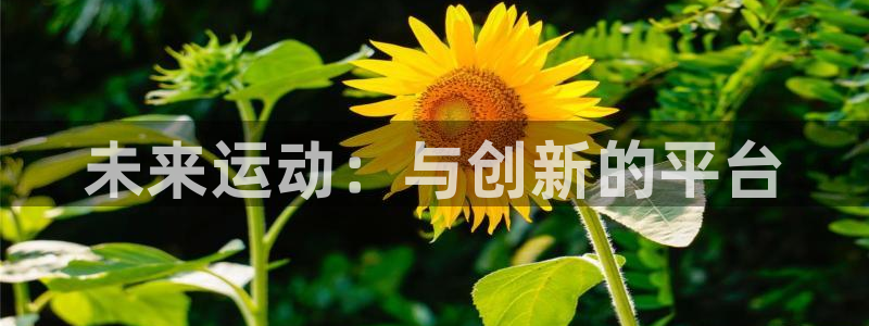 K66凯时国际平台官网：未来运动：与创新的平台
