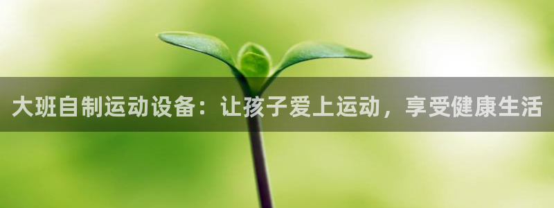 尊龙凯时登入首页：大班自制运动设备：让孩子爱上运动，享受健康