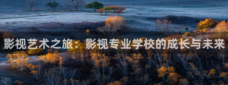 vs影院官网下载：影视艺术之旅：影视专业学校的成长与未来