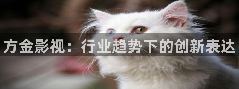 vs影院官网下载