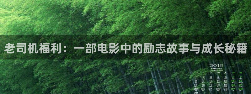 一v神马影院：老司机福利：一部电影中的励志故事与成长秘籍