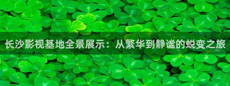 午夜tv神马影院