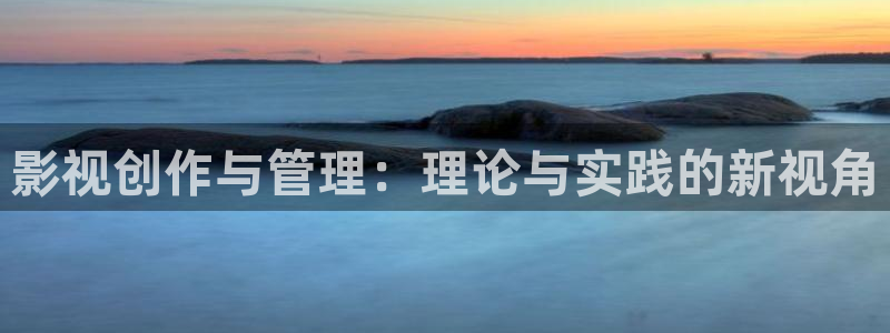 vs影院官网：影视创作与管理：理论与实践的新视角