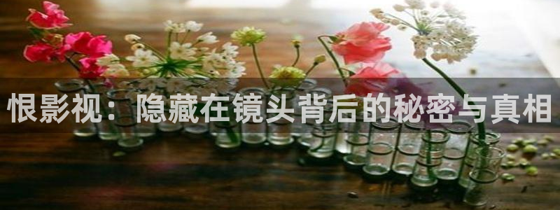 vs影院手机版下载：恨影视：隐藏在镜头背后的秘密与真相